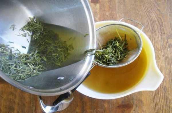 colar la infusión