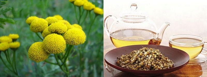 Infusión de Canuper para fortalecer los vasos sanguíneos y el corazón.