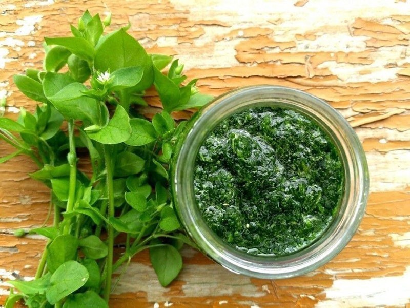 poux de bois hachés avec du miel