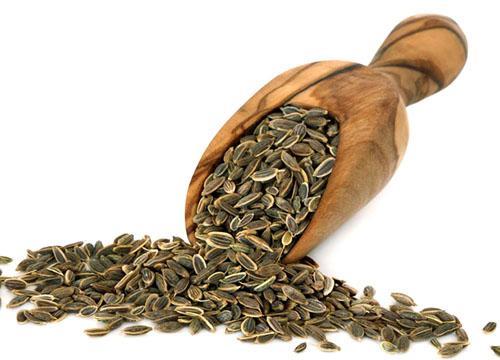 Las semillas de eneldo se utilizan para muchas enfermedades.