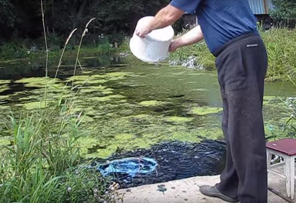 traitement du poisson