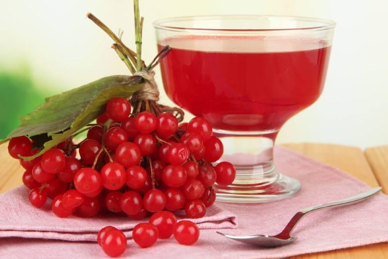 Viburnum berry red avantages et inconvénients contre-indications