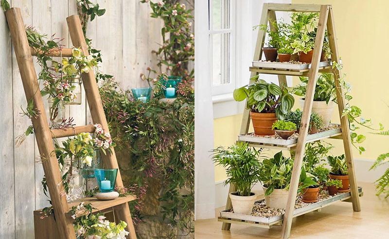 escaliers en bois pour les fleurs
