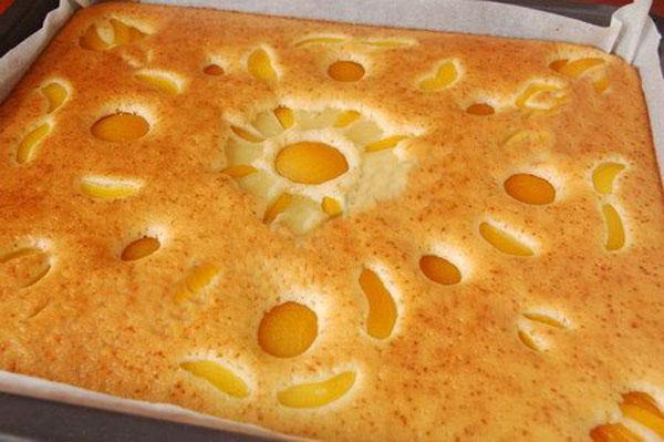 tarte aux abricots en conserve