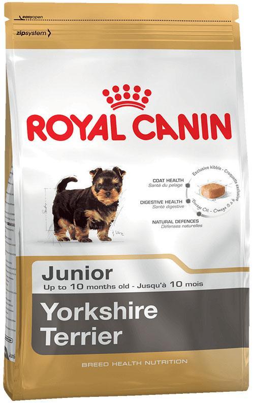 alimento seco para perros jóvenes Yorkshire Terrier