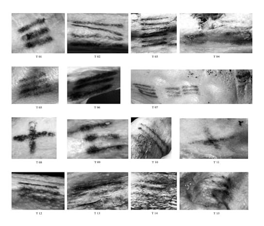 Obwohl die Tattoos verblassten, war das Projekt noch lange nicht abgeschlossen. Letztes Jahr fand Wilson heraus, dass aufgrund der Weiterentwicklung der fotografischen Bildgebungstechniken zwei weitere Tätowierungen auf Ötzis Körper entdeckt wurden. Sie wusste sofort, dass sie das Projekt noch einmal machen musste und entschied sich diesmal für eine Zusammenarbeit mit einem Künstler. Doch eine Künstlerin zu finden, die ihren unkonventionellen Wünschen folgte, war nicht einfach. „Ich habe versucht, bei ein paar Tattoo-Shops in Brooklyn anzurufen und wurde mit vielen 'Ich will das nicht' und viele Leute haben mir gesagt, dass es eine dumme Idee sei, dass es möglich sei nicht getan, dass ich den Prozess des Tätowierens nicht verstanden habe.“ Nachdem sie die negativen Reaktionen satt hatte, wurde ihr von einer Freundin gesagt, sie solle sich an Three Kings wenden, weil sie den Ruf haben, das Fremde nicht zu scheuen. Also tat sich Wilson mit Mat Moreno zusammen, einem Künstler bei Three Kings, der seit 11 Jahren tätowiert. Moreno war mehr als bereit, Wilsons Bitte zu erfüllen. Er sagt: „Als mein Vorgesetzter mir zum ersten Mal die E-Mail brachte und mir erklärte, was der Prozess war oder was angefordert wurde, habe ich nicht wirklich mit den Augen geblinzelt. Die meisten Leute wissen es nicht, ich bin ziemlich goth. Also alles mit Blut.“ Er war bereit, etwas Neues auszuprobieren, obwohl er sich nicht sicher war, ob die Verwendung von Blut anstelle von Tinte letztendlich erfolgreich sein würde. Und obwohl er Ötzi vor dem Projekt nicht kannte, hat Moreno sich schon immer von Archäologie und Geschichte angezogen. „Weißt du, ich bin ein großer Indiana-Jones-Fan,