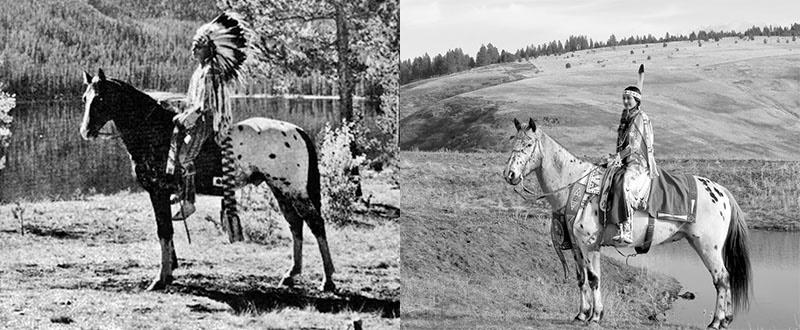 Indiens sur des chevaux de race Appaloosa