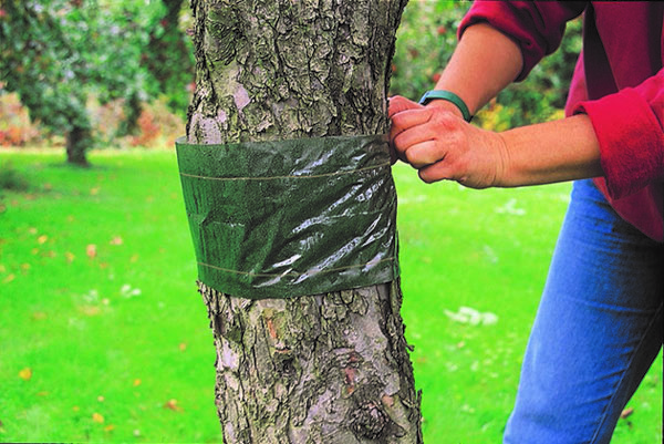 Faire une ceinture de pêche avec vos propres mains