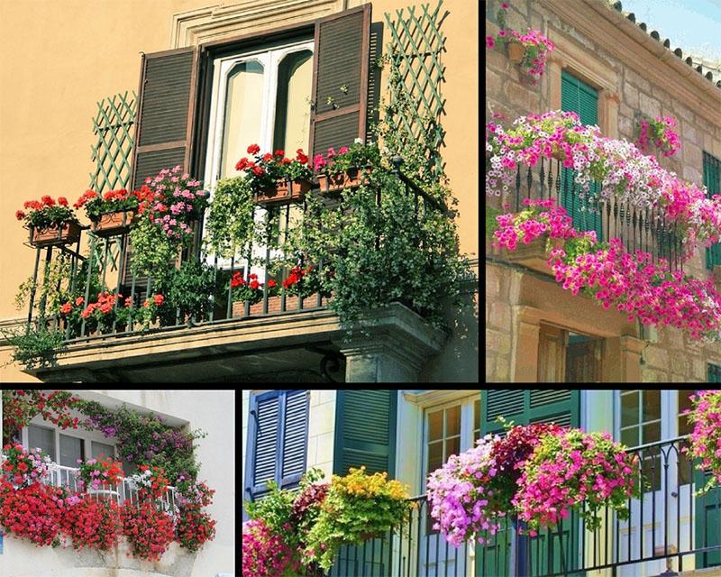 opciones de diseño de balcones