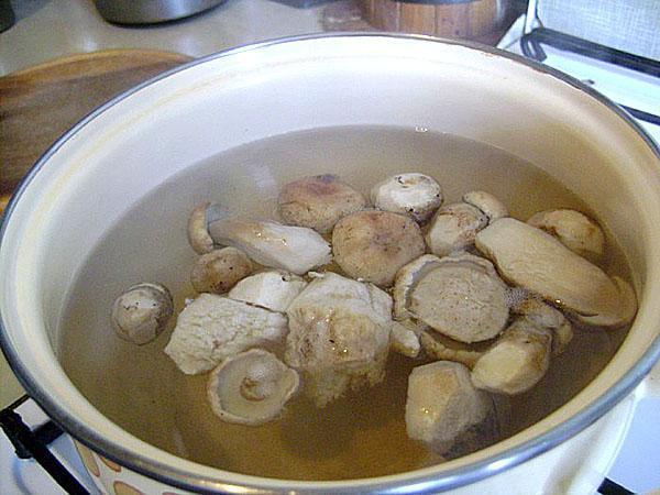 faire cuire des champignons