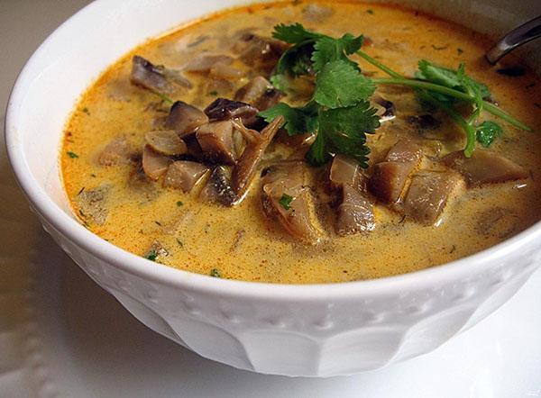 sopa de champiñones congelada saludable aromática