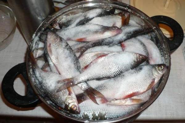 saupoudrer le poisson de gros sel