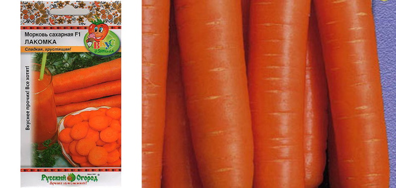 variété de carotte gourmet