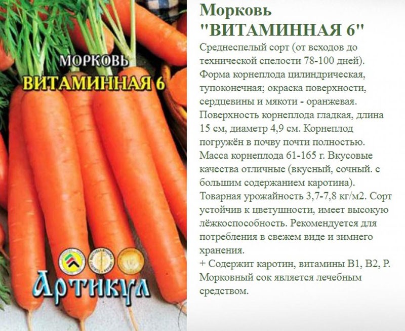 carottes Vitamine 6