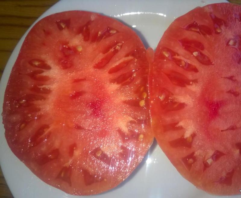 pico de águila de tomate cortado