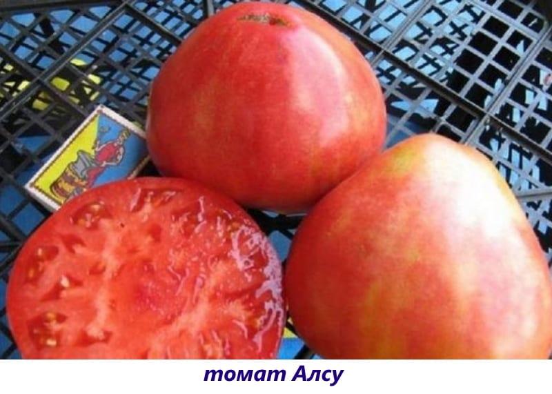 tomate aussi