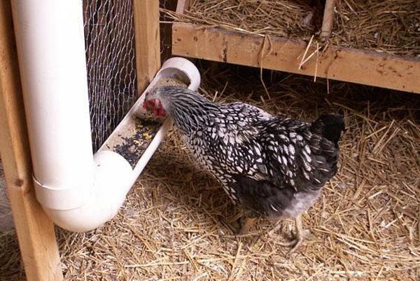 fournir des aliments pendant une longue période