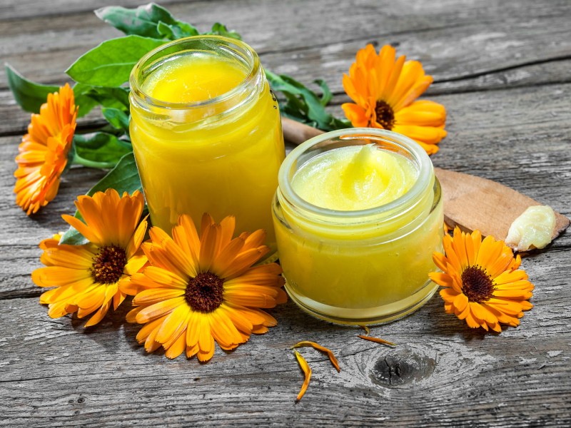 pommade au calendula