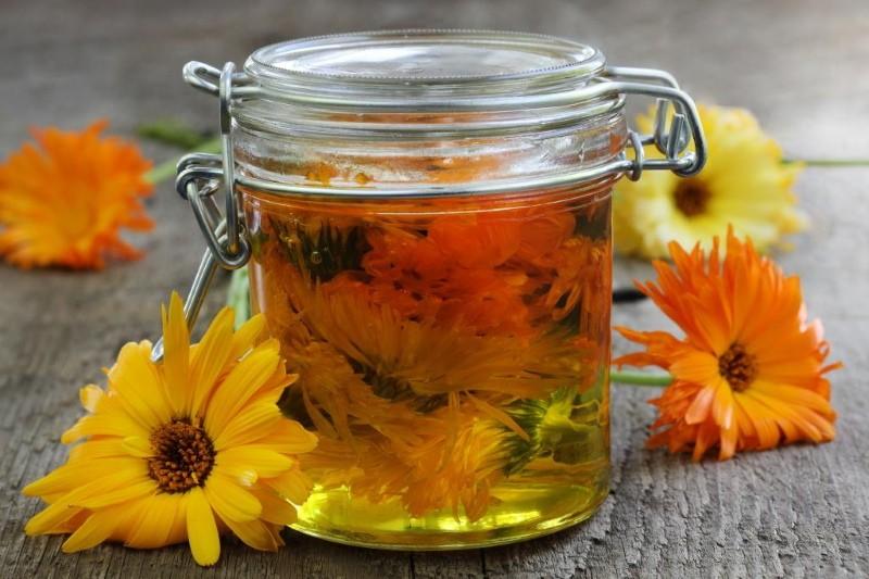 avantages et inconvénients du calendula