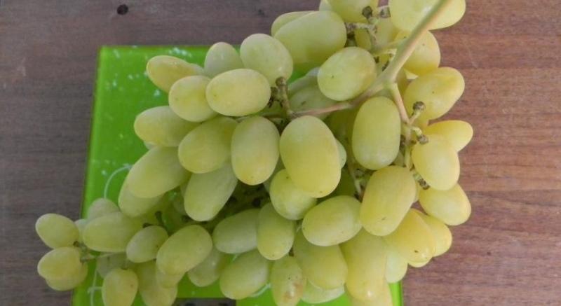 un racimo de uvas lirio de los valles