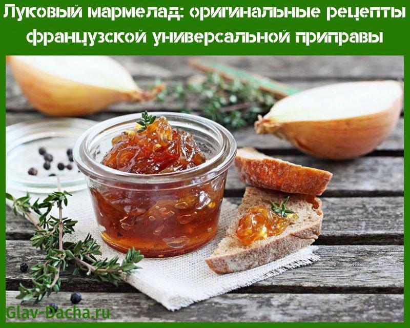 marmelade d'oignon