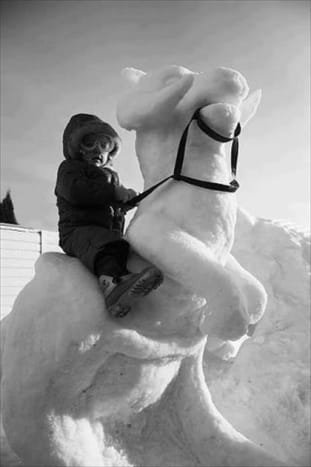 Seien Sie vorsichtig, bei dieser Temperatur friert Ihr Tauntaun ein, bevor Sie den ersten Kontrollpunkt erreichen.