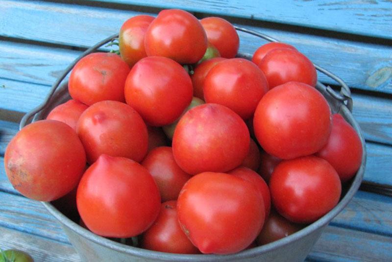 tomates marinées