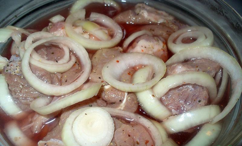 cambiar cebollas de carne