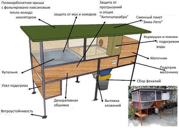 cage de ragondin