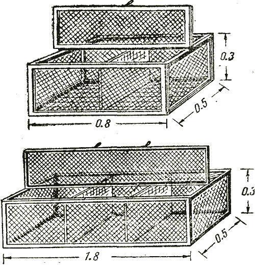 cage avec zone de marche