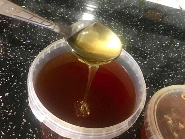 miel de coriandre dans des pots en plastique