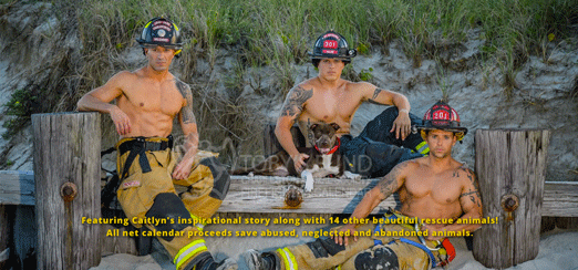 Eines der Hauptbilder, das Caitlyn mit den tätowierten Feuerwehrleuten zeigt, ist auf der Toby's Fund-Website zu finden.
