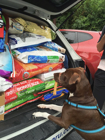 Caitlyn scheint erstaunt über all die köstlichen Spenden, die sie mitgeholfen hat.