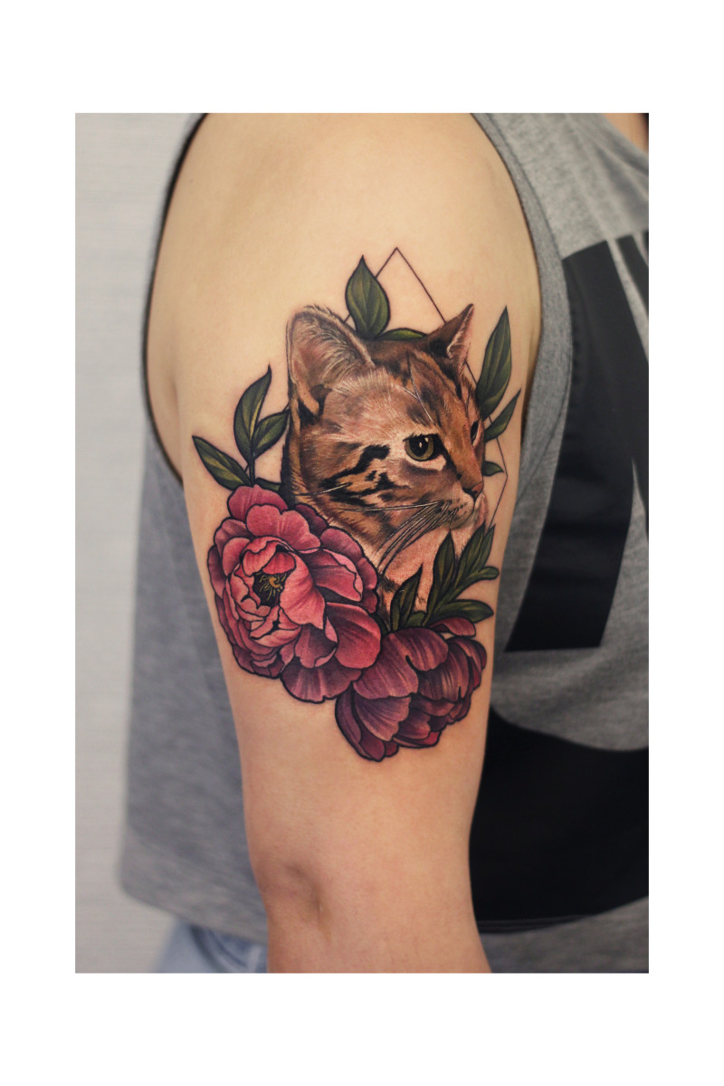 Katze
