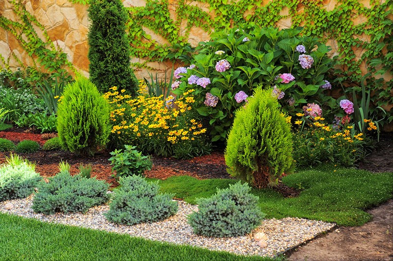 combinación de coníferas con otras plantas