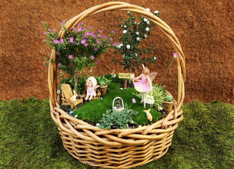 mini jardín en una canasta de enredaderas