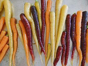 Zanahorias multicolores