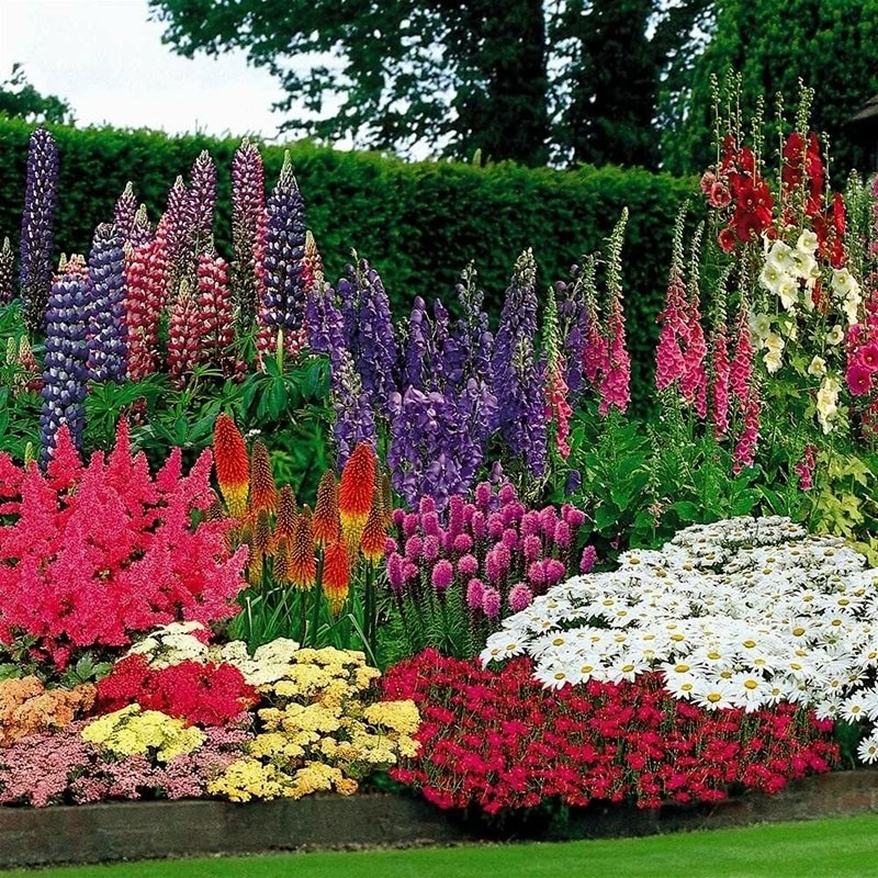 tipos de plantas perennes para el jardín.