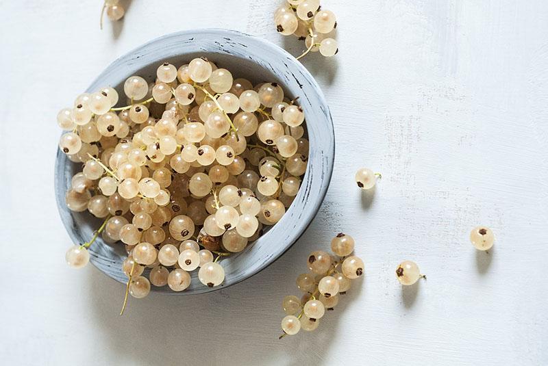 recetas de dulces de grosella blanca