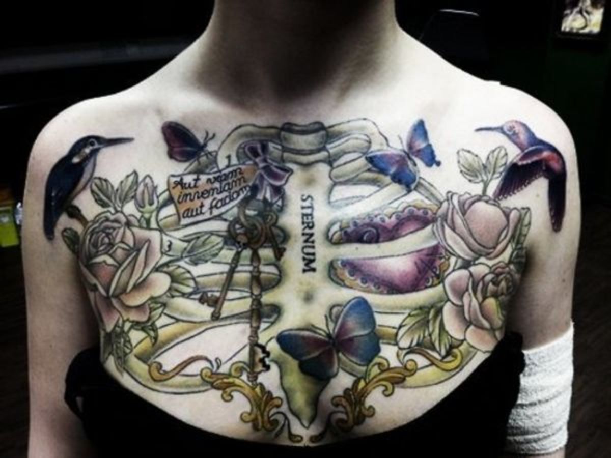 Sternum
