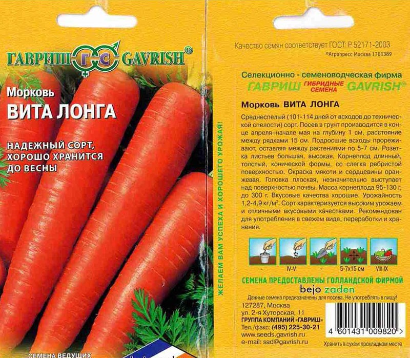 graines de carotte
