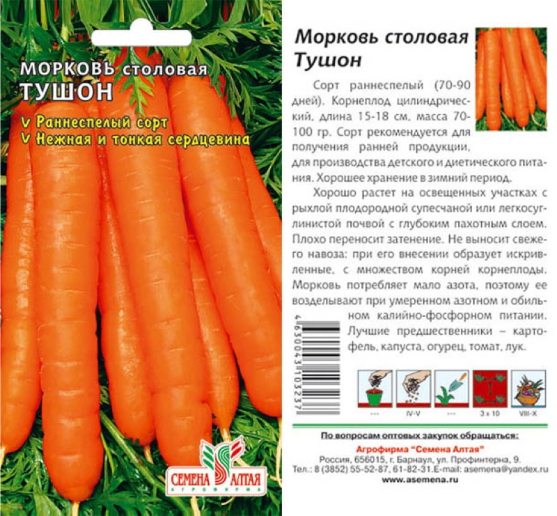 Description de la variété de tushon de carotte