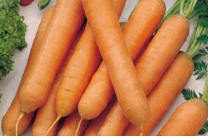 les avantages et les inconvénients du tushon de carotte