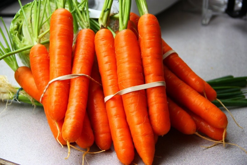 tushon de carotte