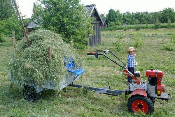 Transport de foin