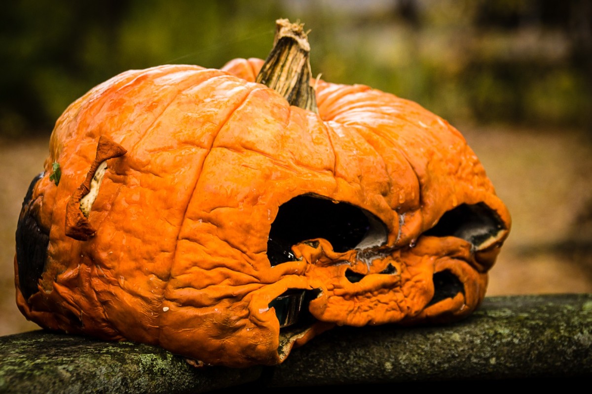 autumn_orange_fall_halloween_rotting_pumpkin_rotten-903506