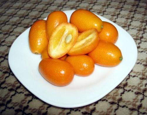 le kumquat peut-il provoquer une cystite