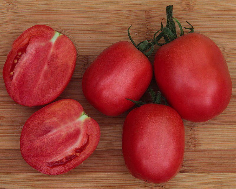 fruits de stolypine de tomate