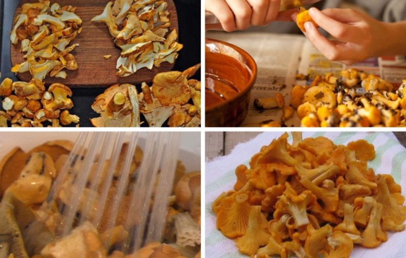 comment enlever l'amertume des girolles congelées