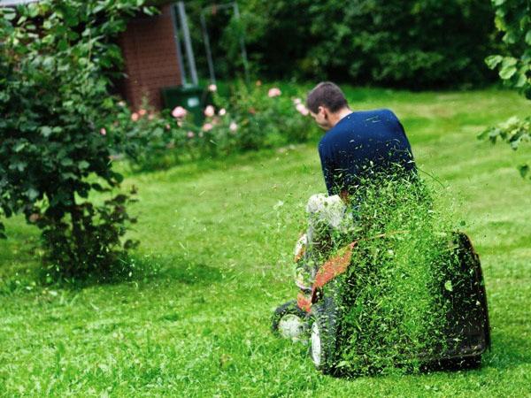 proceso de mulching